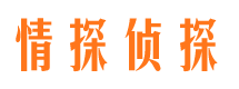 盐边市私家侦探